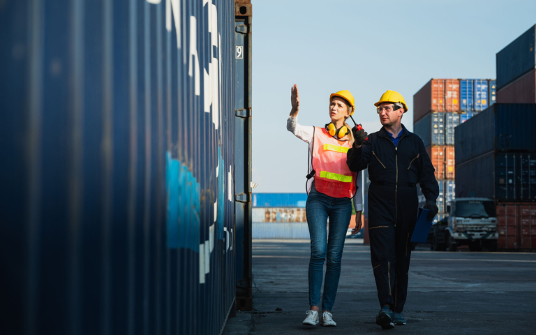 Customs team reviewing containers