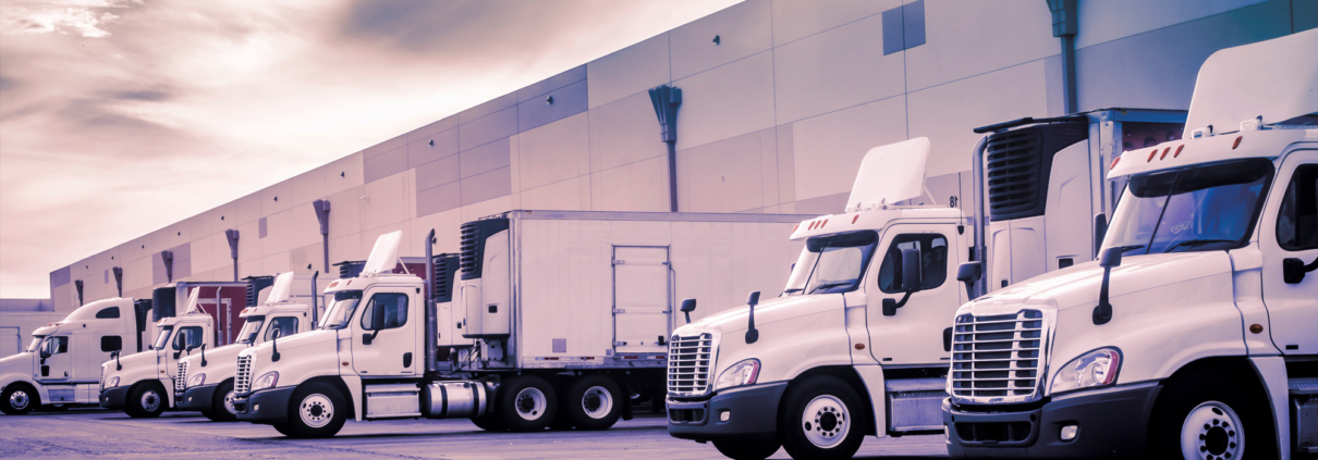 3PL Supply Chain Support for Domestic Transportation