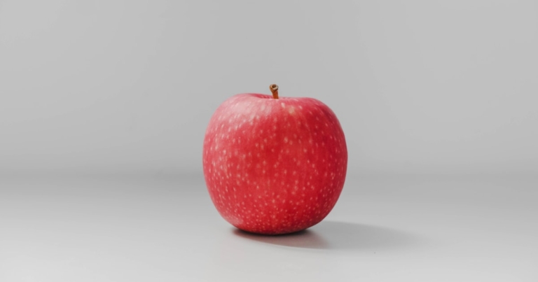 International trade compliance software